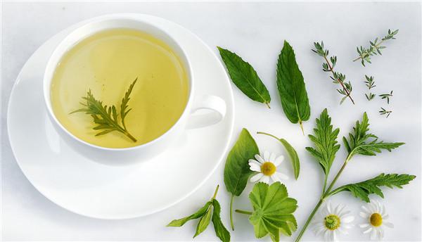 柠檬和绿茶可以一起泡茶喝吗（柠檬能与绿茶一起泡茶吗）